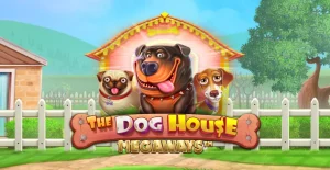 The Dog House